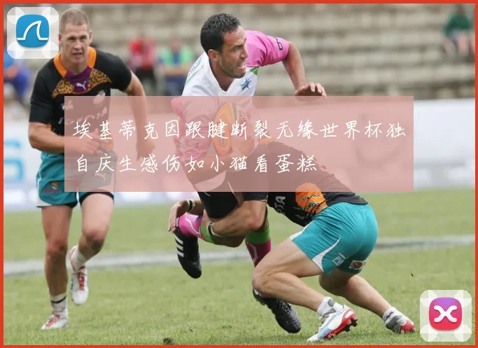 埃基蒂克因跟腱断裂无缘世界杯独自庆生感伤如小猫看蛋糕