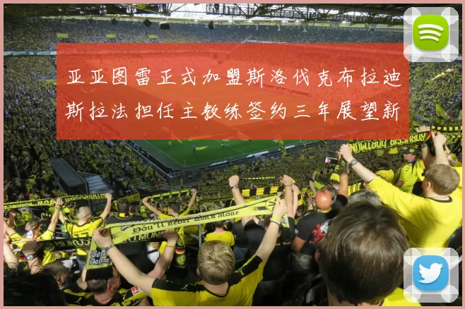 亚亚图雷正式加盟斯洛伐克布拉迪斯拉法担任主教练签约三年展望新篇章