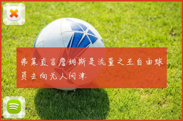 弗莱直言詹姆斯是流量之王自由球员去向无人问津